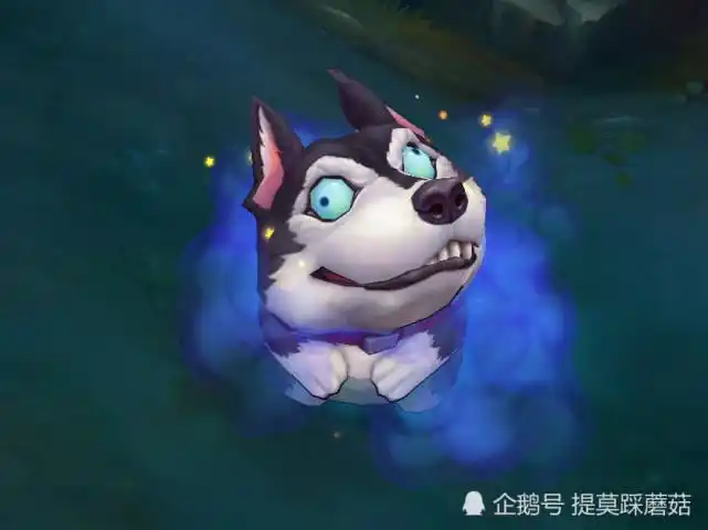 小鱼人哪款大招最特别呢绒毛菲兹调皮可爱便宜也能出好货