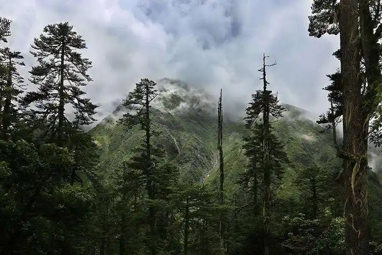 穿越神农架无人区(1)