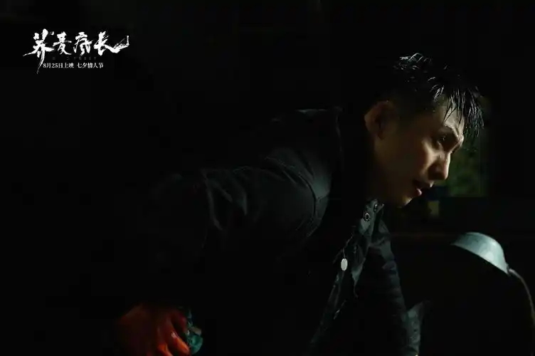 《荞麦疯长》剧照图片,分享一组黄景瑜图片给大家,图中的明星图片壁纸