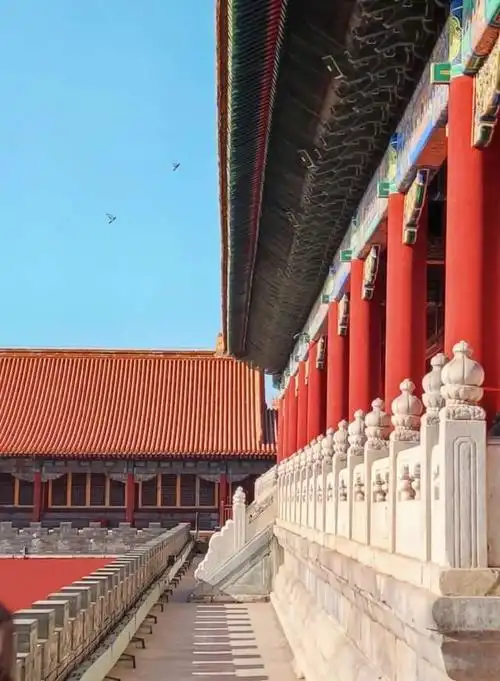 首先,让我们来看看故宫建筑中使用的木材来自哪里.