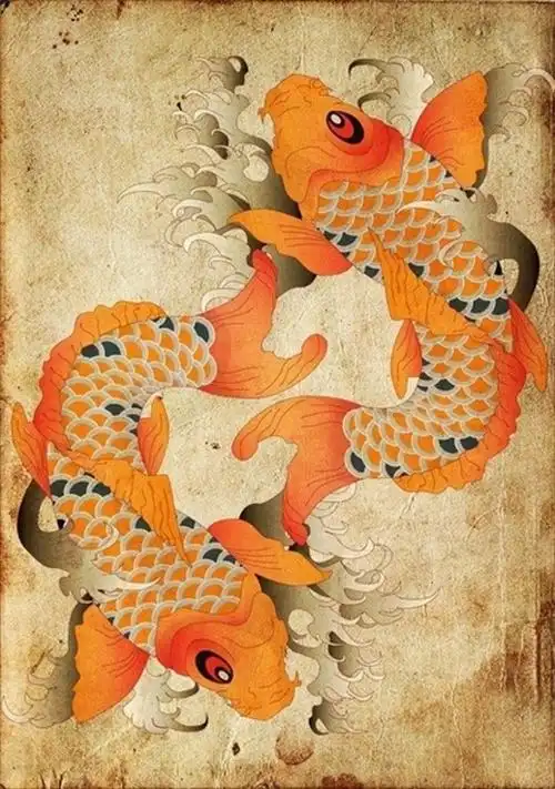 q5:锦鲤养几条最招财 养锦鲤鱼的一些常识