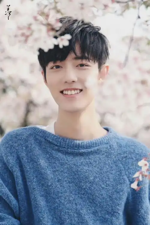 团肖战daytoy好爱樱花小赞阳光下笑容灿烂的肖战,可以治愈一切烦恼!