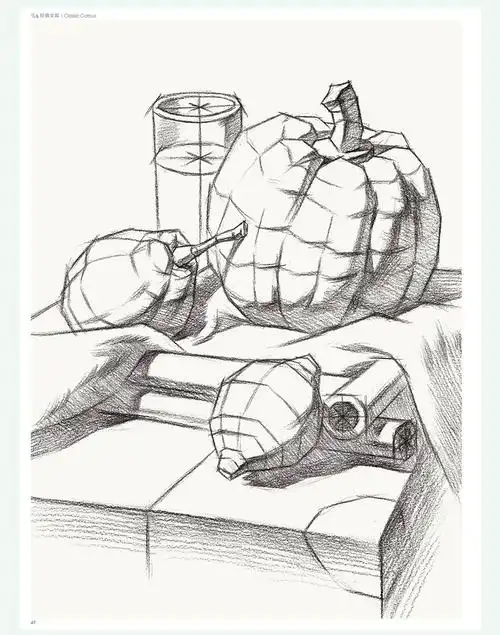 杨建飞 单体组合静物入门自学零基础教程素描书 素描静物临摹书 从