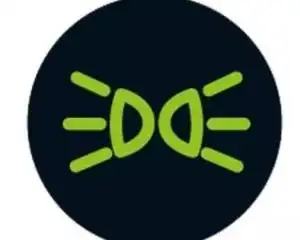 示廓灯(5)示廓灯是一种警示标志的车灯,用来提醒其它车辆注意.