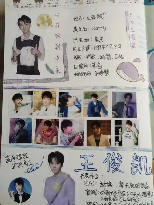 追星手账王俊凯篇
