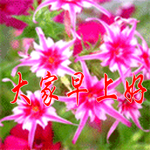 早上好祝福语表情包早上好问候语带动态图片