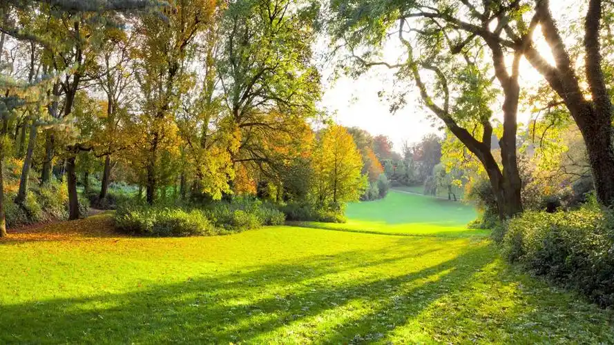 绿色护眼自然风光美景桌面壁纸_风景壁纸_壁纸下载_美桌网