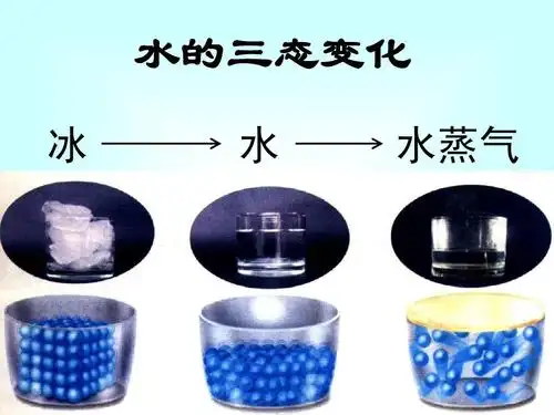 1 水分子的运动 课件1 (鲁教版八年级全) 水的三态变化 冰 水 水蒸气