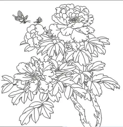 【cdr】花开富贵_图片编号:wli10200562_花纹插画_插画|素材|元素