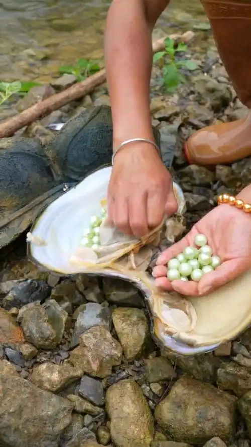 河蚌取珍珠,我捡到宝了