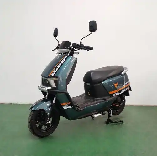 世纪雄风牌xf1500dt-6电动两轮摩托车公告图片