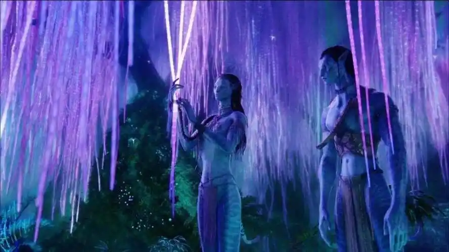实际上,阿凡达中的"灵魂之树"在已知的五部曲中都占有了重要的剧情