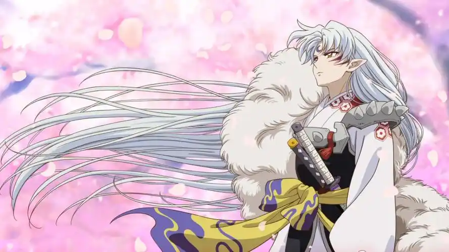 感谢大家的支持 电视动画半妖の夜叉姫 请期待后续报告78