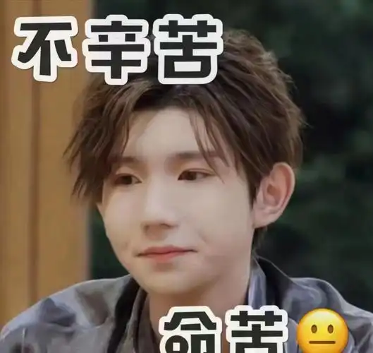 王源表情包
