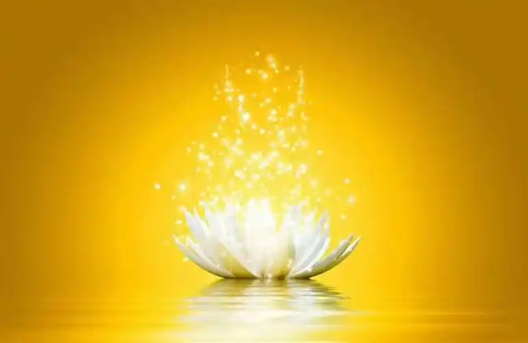 前面部分是莲花图,中间部分是星空图,最后部分是华为手机建筑壁纸