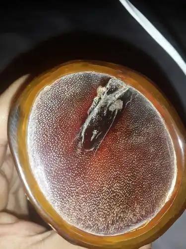 看看这是犀牛角么