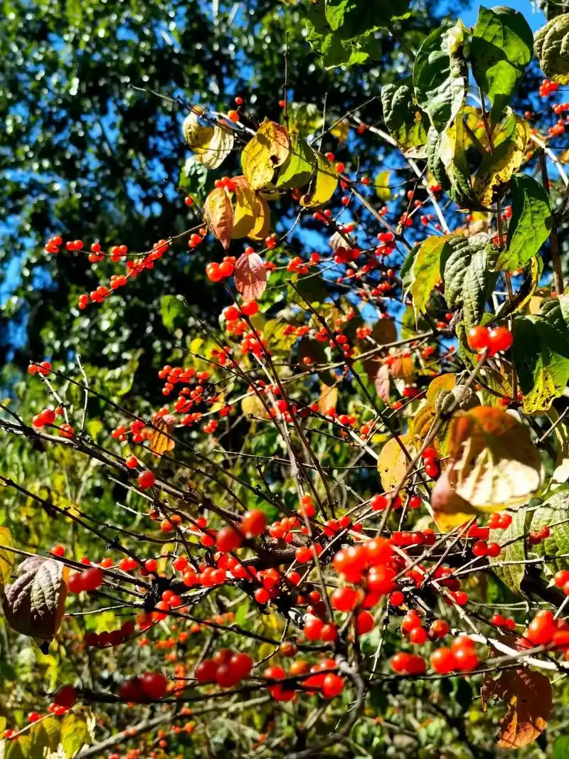 浓妆—陈义老师的作品 - 抖音