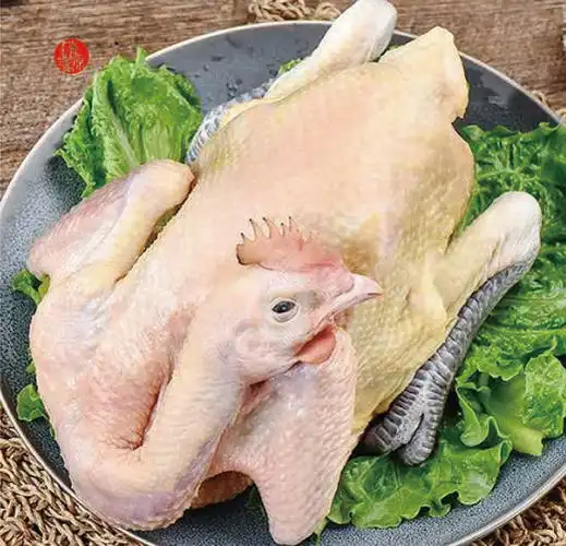 鲜杀黑脚鸡白条1只2832斤