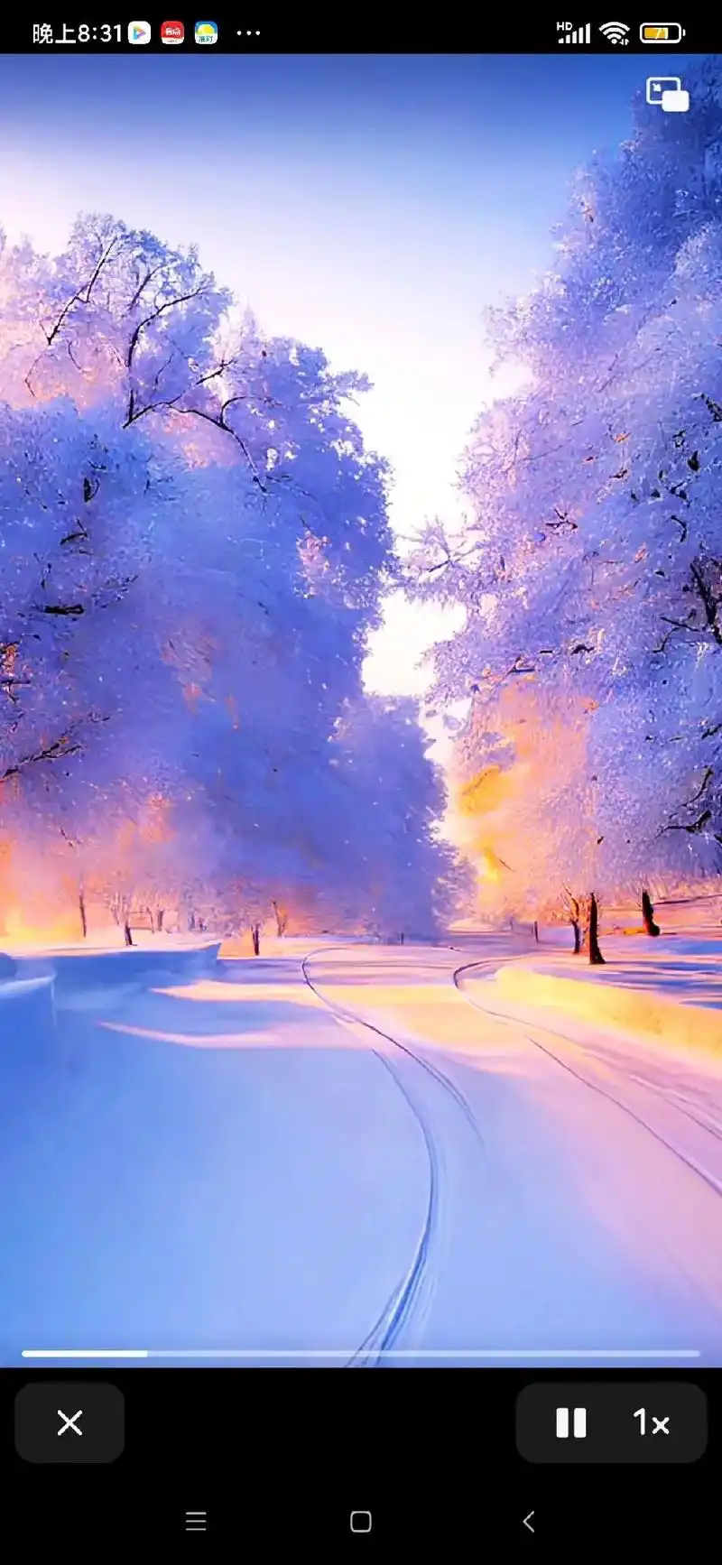 唯美意境 雪后阳光照耀下的雪树美景 - 抖音