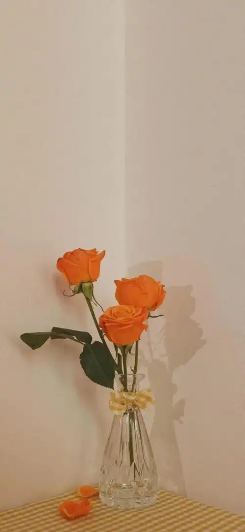 超美ins风小清新壁纸来咯,都给我接住