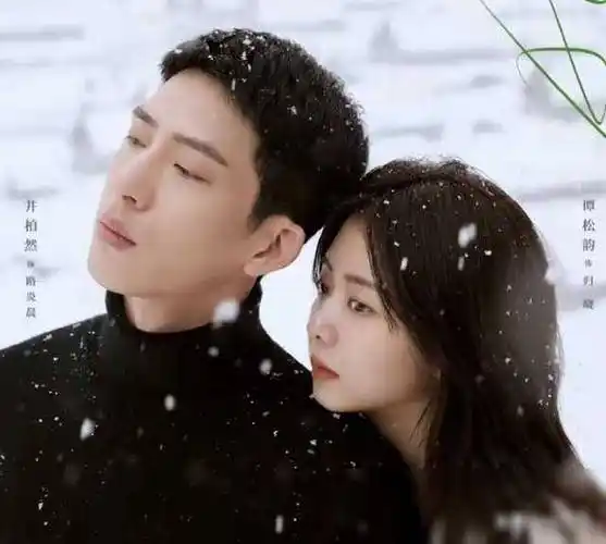 为什么喜欢井柏然