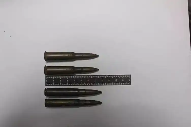 一大学生携带4枚子弹乘坐高铁!被查后他说