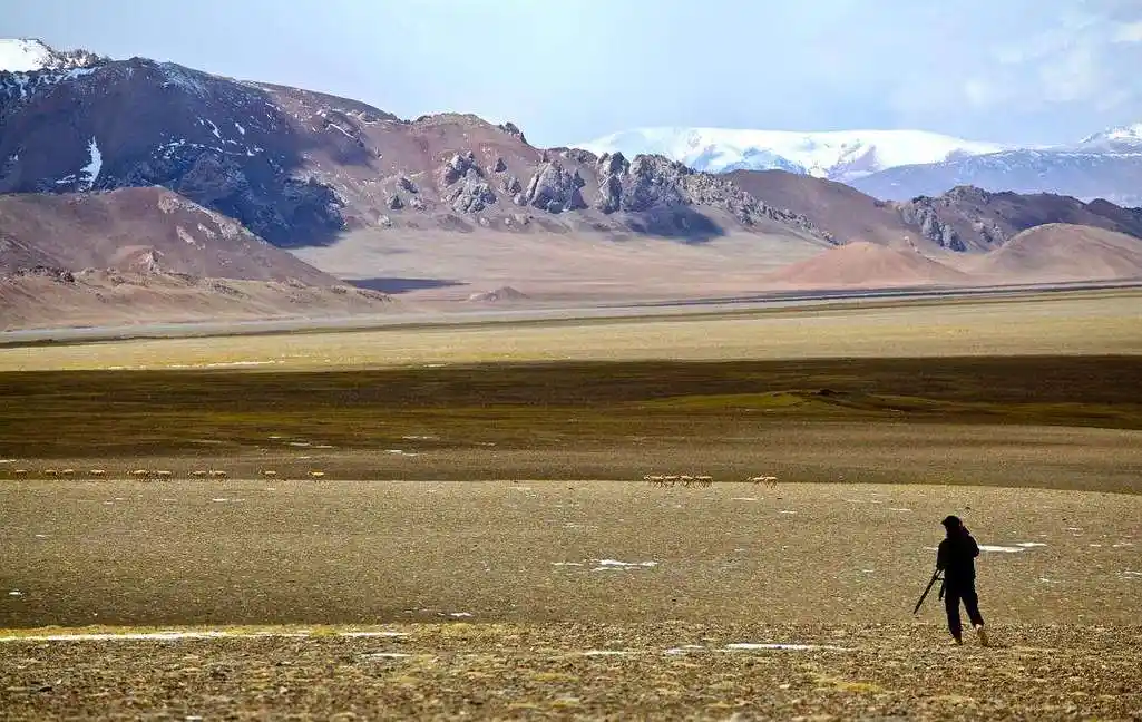 中国最可怕的无人区(无人区真的那么乱吗)