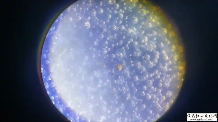 绝杀赝品——瓷器死亡气泡鉴定方法