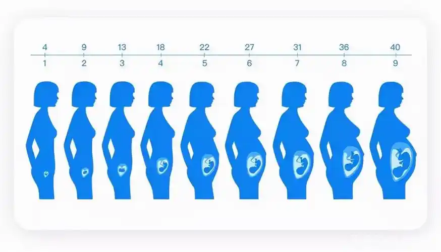 分娩有多疼(小伙子被准丈母娘"逼迫"体验分娩,90分钟十二级疼痛,痛苦