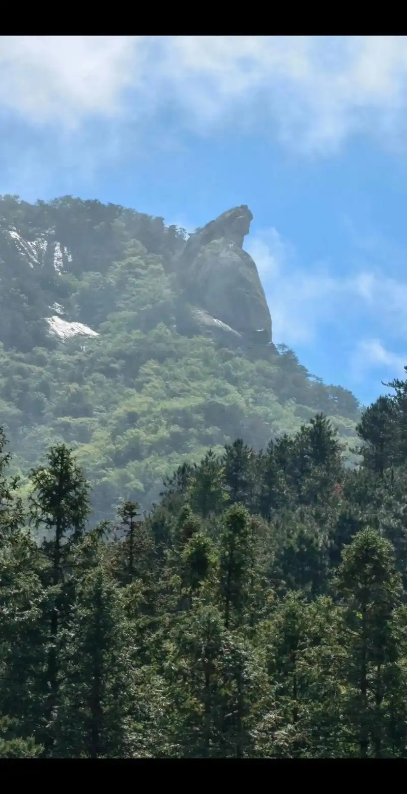 龟峰山看杜鹃96.