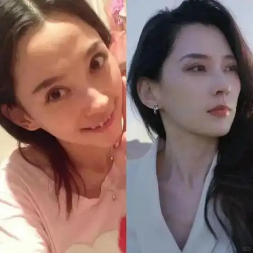 章子怡|李冰冰|摇滚乐|填词人|古典乐_网易订阅