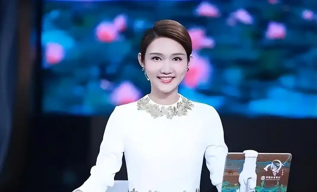 央视主持人龙洋:被称作董卿接班人,集美貌与才华于一身的湘妹子