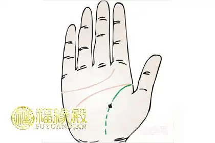 左手掌心生命线上有痣:相学上说:"手心主富,手背主贵",如果手背上生有