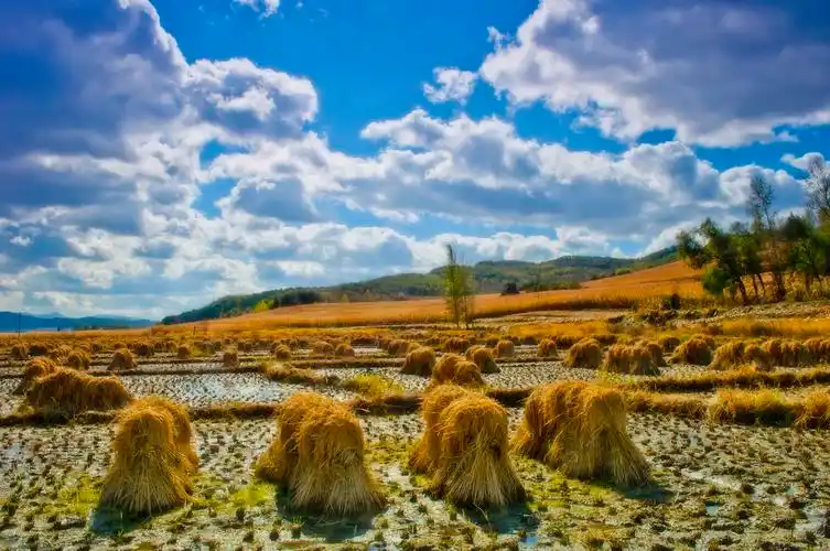 秋日的风景图片唯美大自然自然风景秋季秋日