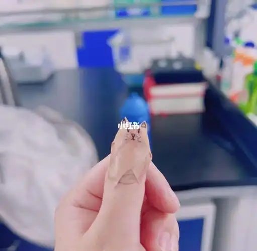 手指上的伤口太难包创可贴啦#创可贴  #可爱  #搞笑的日常