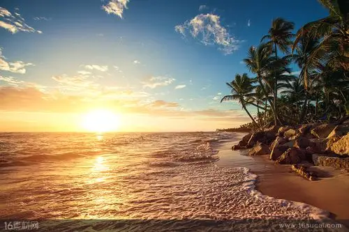 阳光海浪浪花蓝天白云金色霞光朝霞晨曦晚霞黄昏椰树海水海面海景风景