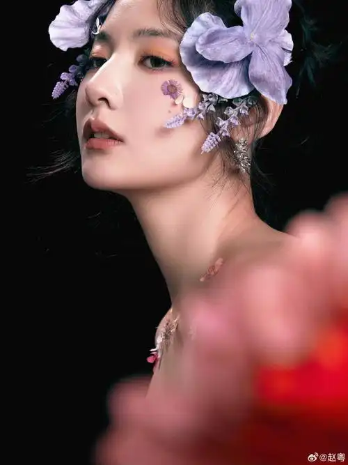 赵粤典藏星光卡