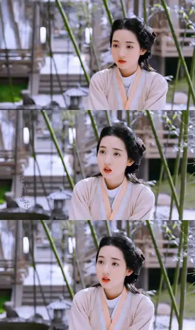 三国机密之潜龙在渊 王玉雯 cr苍狗照落花