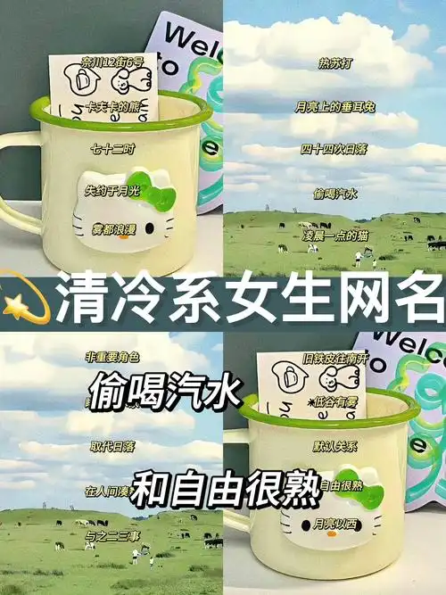 99高级冷淡的女生网名||超好听的id