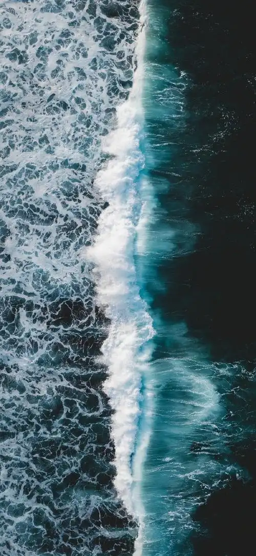 1024_2217竖版 竖屏