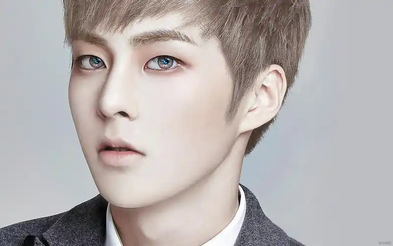 exo之12只狼的迷