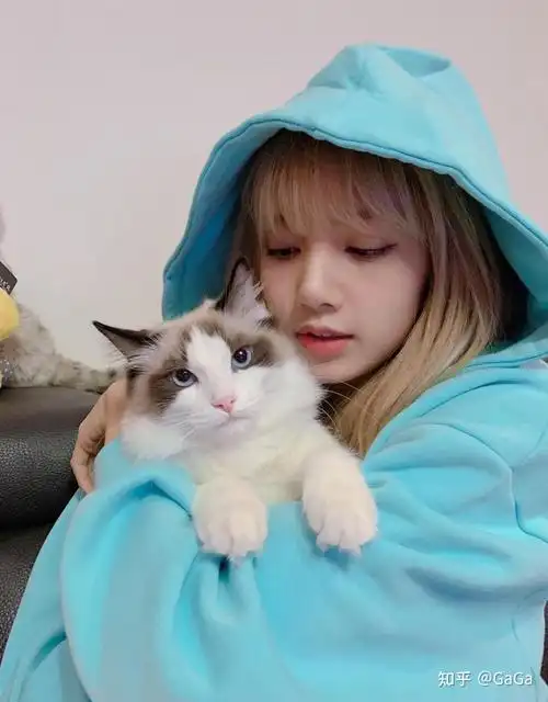 这次亚洲顶流女星 lisa 的野心可不止疯马秀