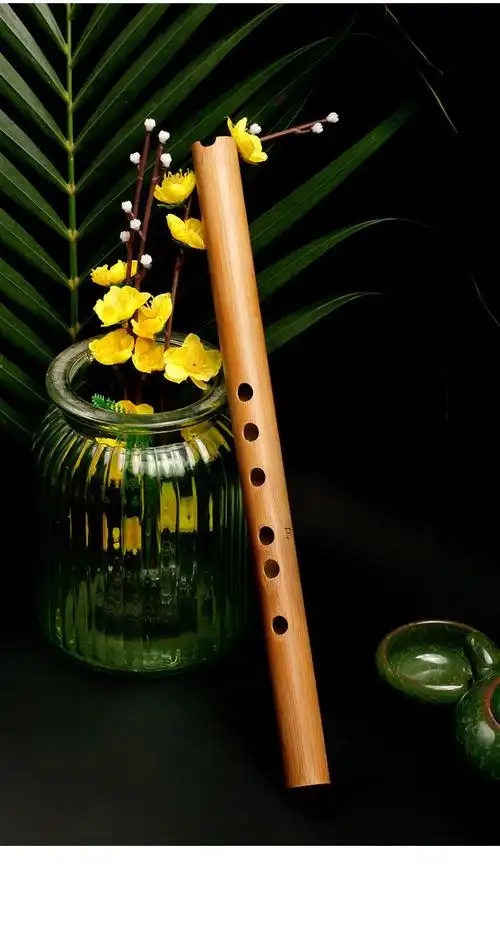 零基础入门洞箫便携苦竹短萧笛初学迷你古风六f调民族