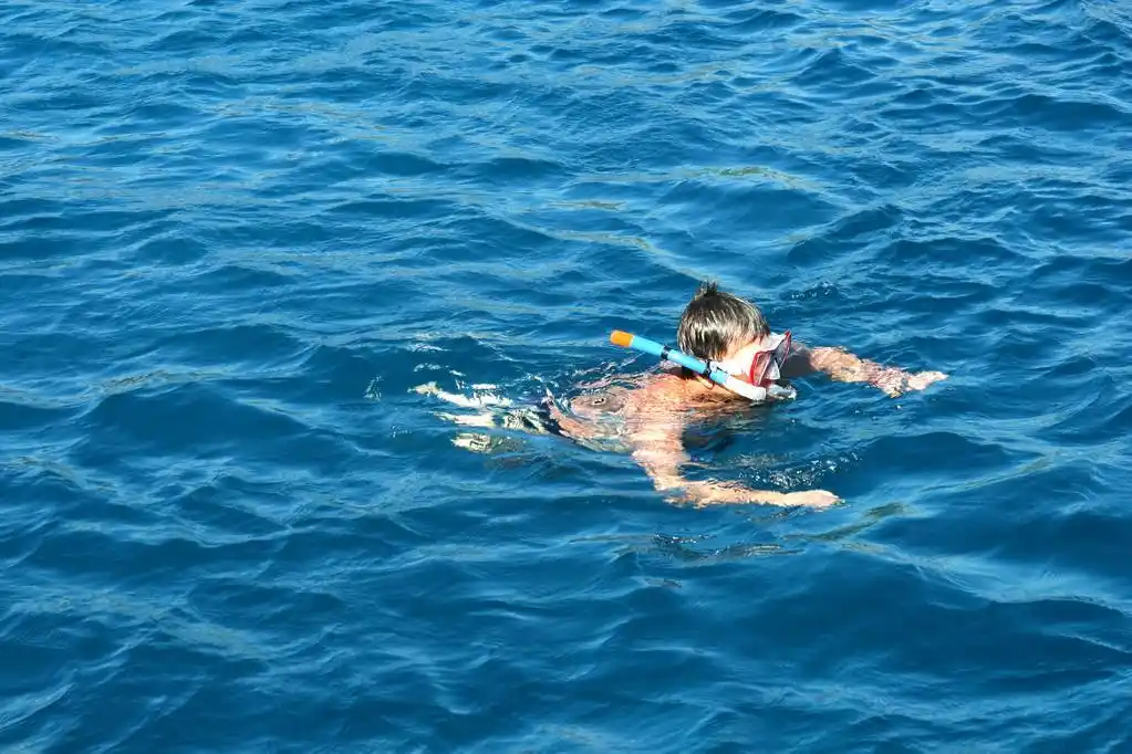 在爱琴海的男孩,男孩在海中游泳