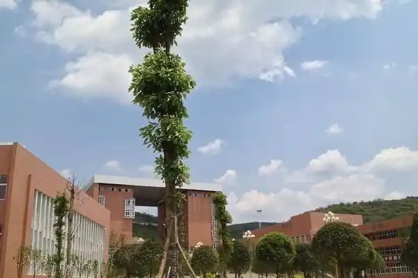 三,贵定中学贵定中学算是一所办学时间非常长的学校了,学校开办于明朝