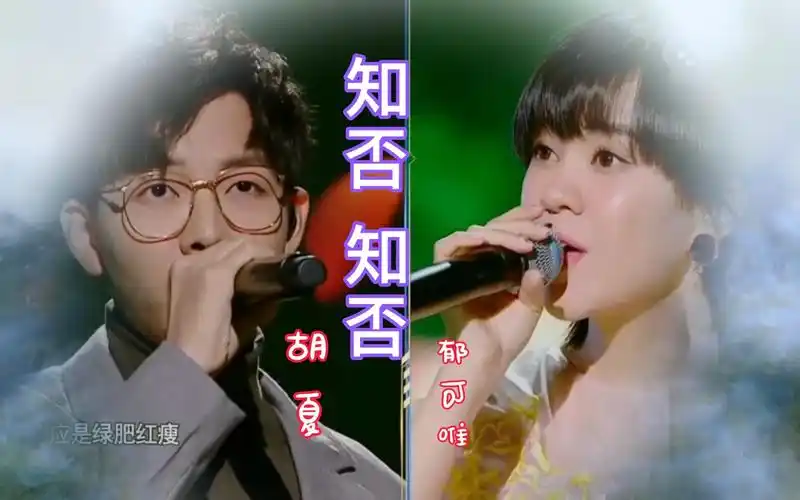 郁可唯胡夏演唱,《知否知否》,感谢您欣赏