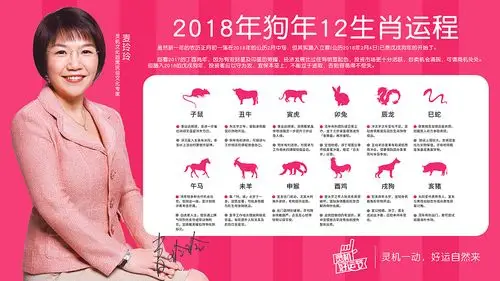 麦玲玲代言2018生肖运程表