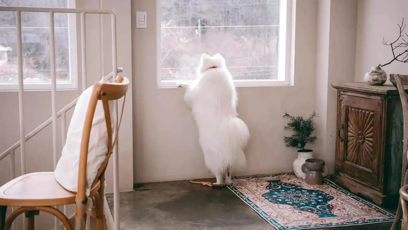 电脑桌面壁纸ins高级质感无水印 - 抖音