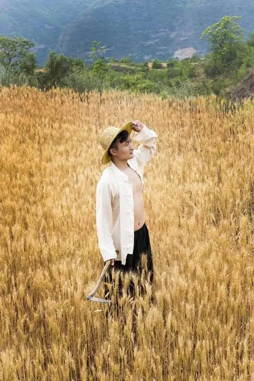 初夏田野泛起了金色麦浪麦田中唯美人像摄影