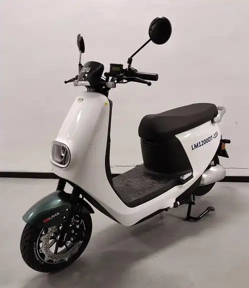 立马牌lm1200dt15f电动两轮摩托车